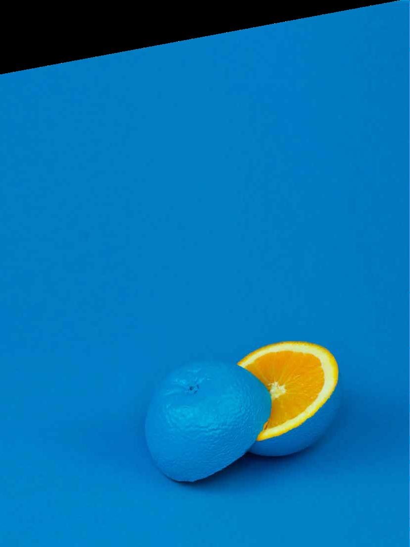 page12image1722548736